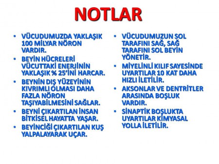 ÖNEMLİ NOTLAR