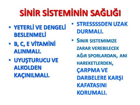 SİNİR SİSTEMİ