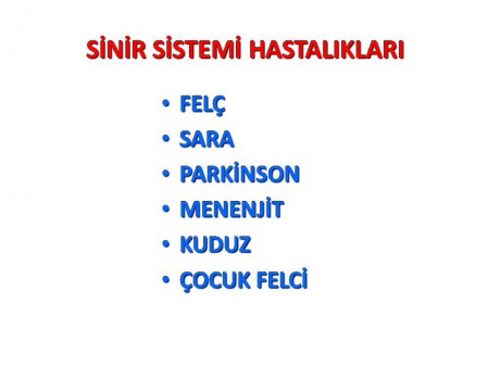 SİNİR SİSTEMİ HASTALIKLARI